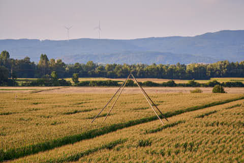 Gemeinde Atting Landkreis Straubing-Bogen Irrgarten Straubing (Dirschl Johann) Deutschland SR